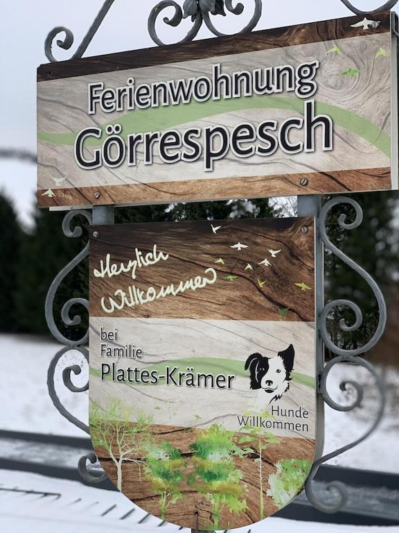 Hof Goerrespesch-Ferien Im Herzen Der Schneifel Schlausenbach Exterior photo